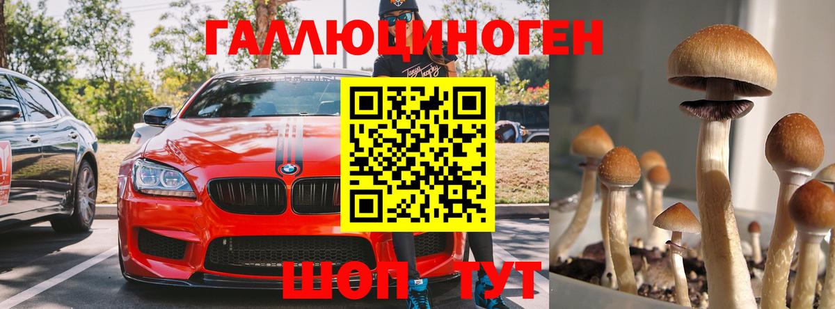 Псилоцибиновые грибы Magic Shrooms Снежинск